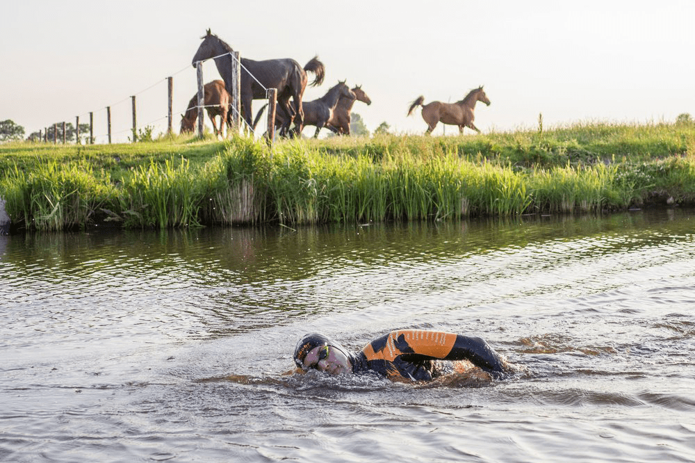 Maarten swimming the elfstedenzwemtocht